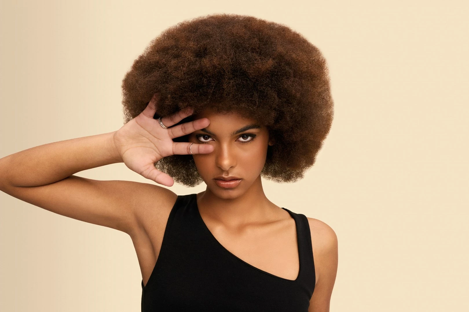 Multistyler Shark HD333EU, bel