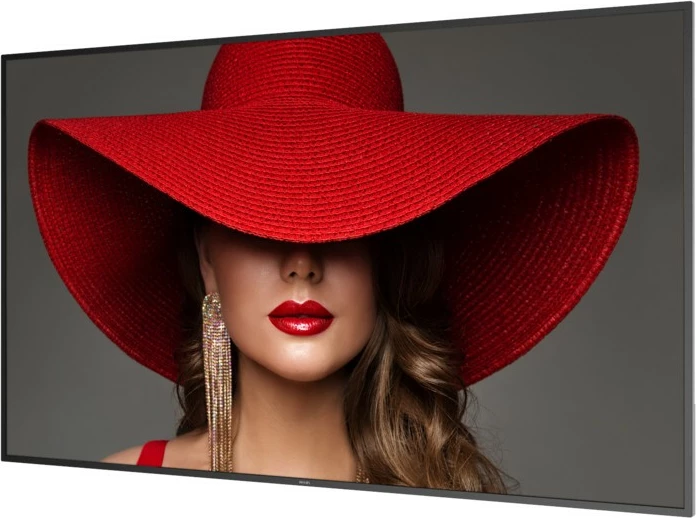 Velik zaslon 75 inč 4K UHD Android Wi‑Fi, Philips 75BDL4650D