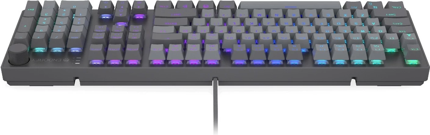 Mehanska tipkovnica Endorfy Thock V2, RGB, polna velikost, USB-C, siva