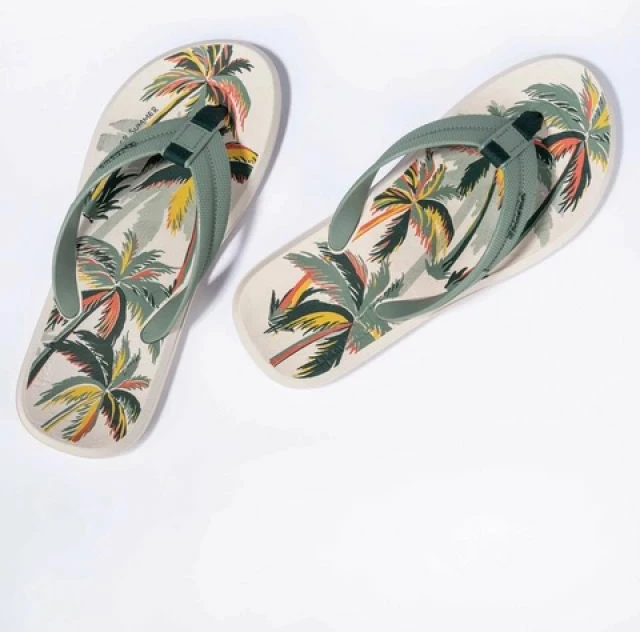 Večbarvne japonke Ipanema, moške