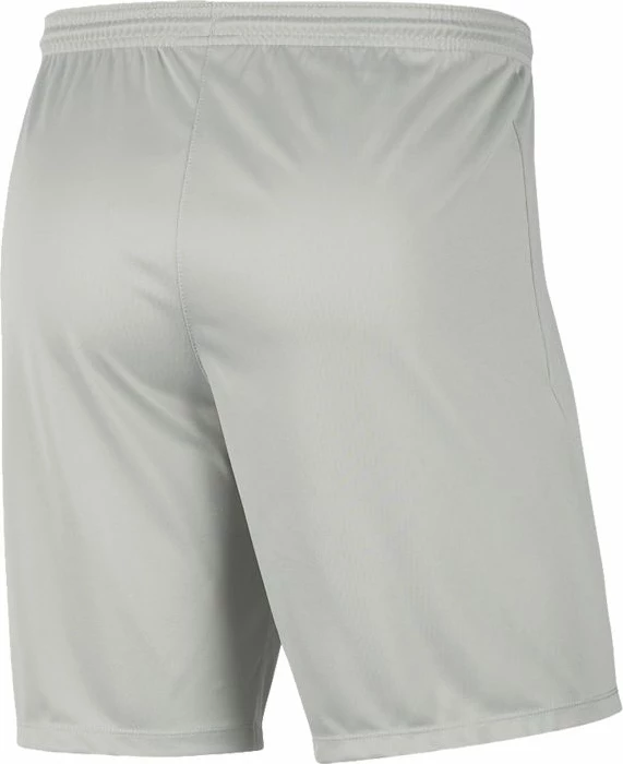 Šorce za moške Nike Dry Park III, sive