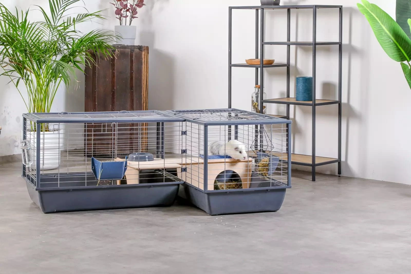Kavez za zajce ZOLUX Neolife connect, 101,5x54x51 cm, siv
