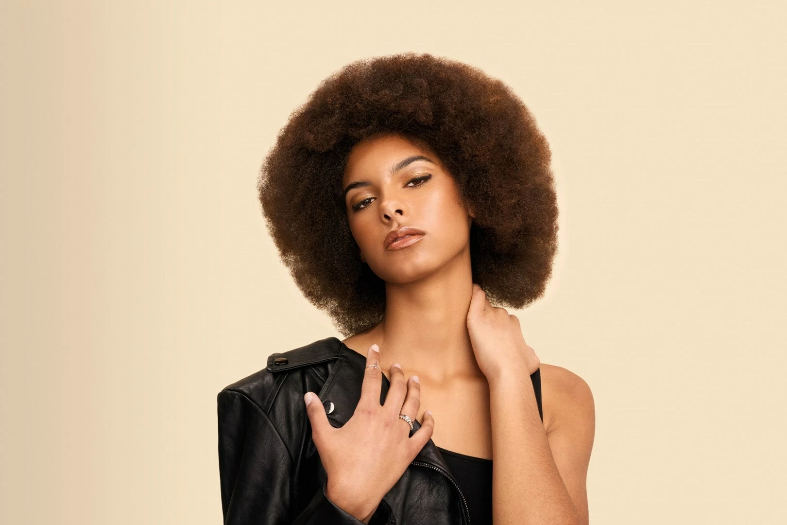 Multistyler Shark HD333EU, bel