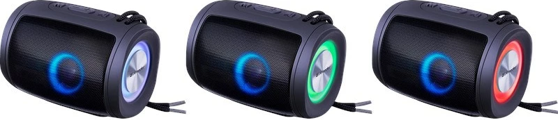 Prenosni zvočnik Defender S200, Bluetooth 5.3, 5 W, črn