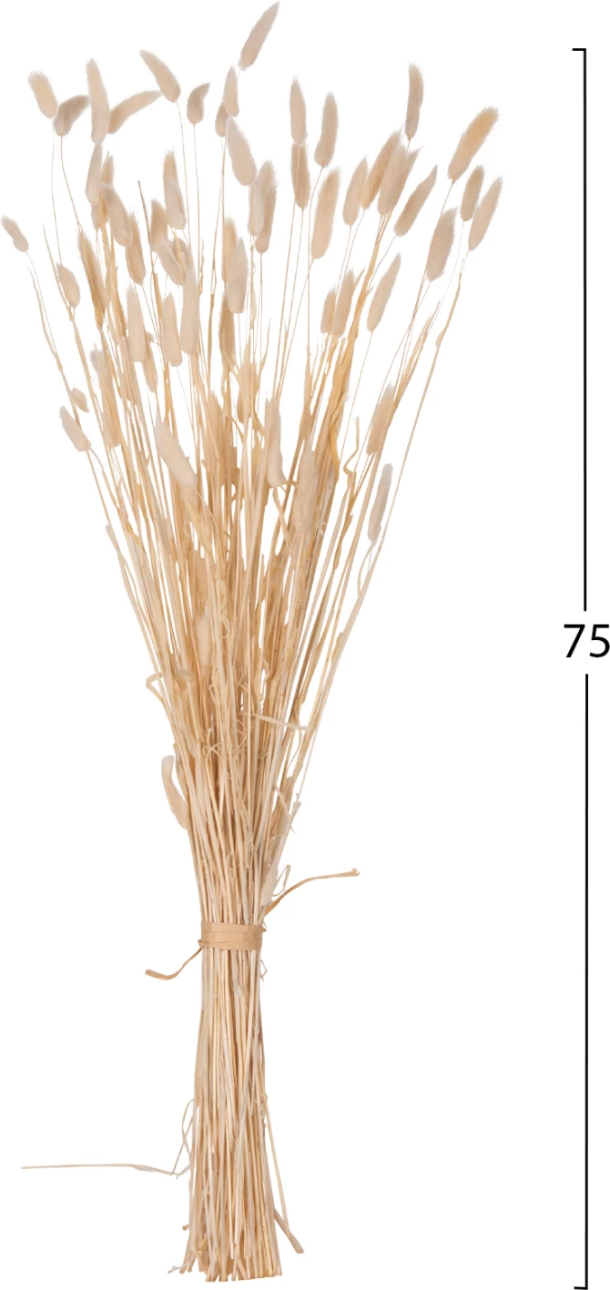 Dekorativni suhi šopek zajčji rep FH7959 krem 76Hcm