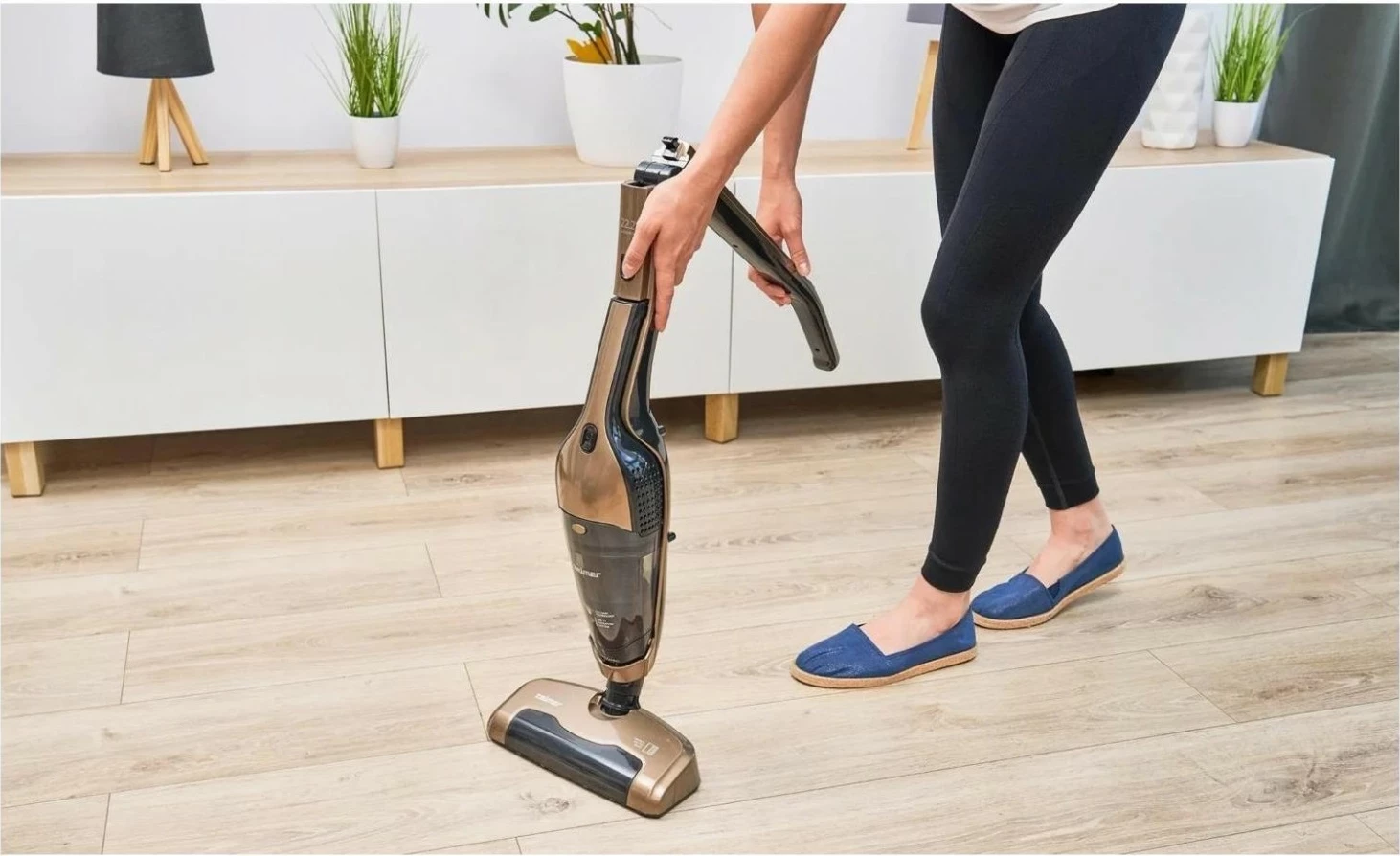 Sesalnik, 22V, zlata Zelmer ZSVC422