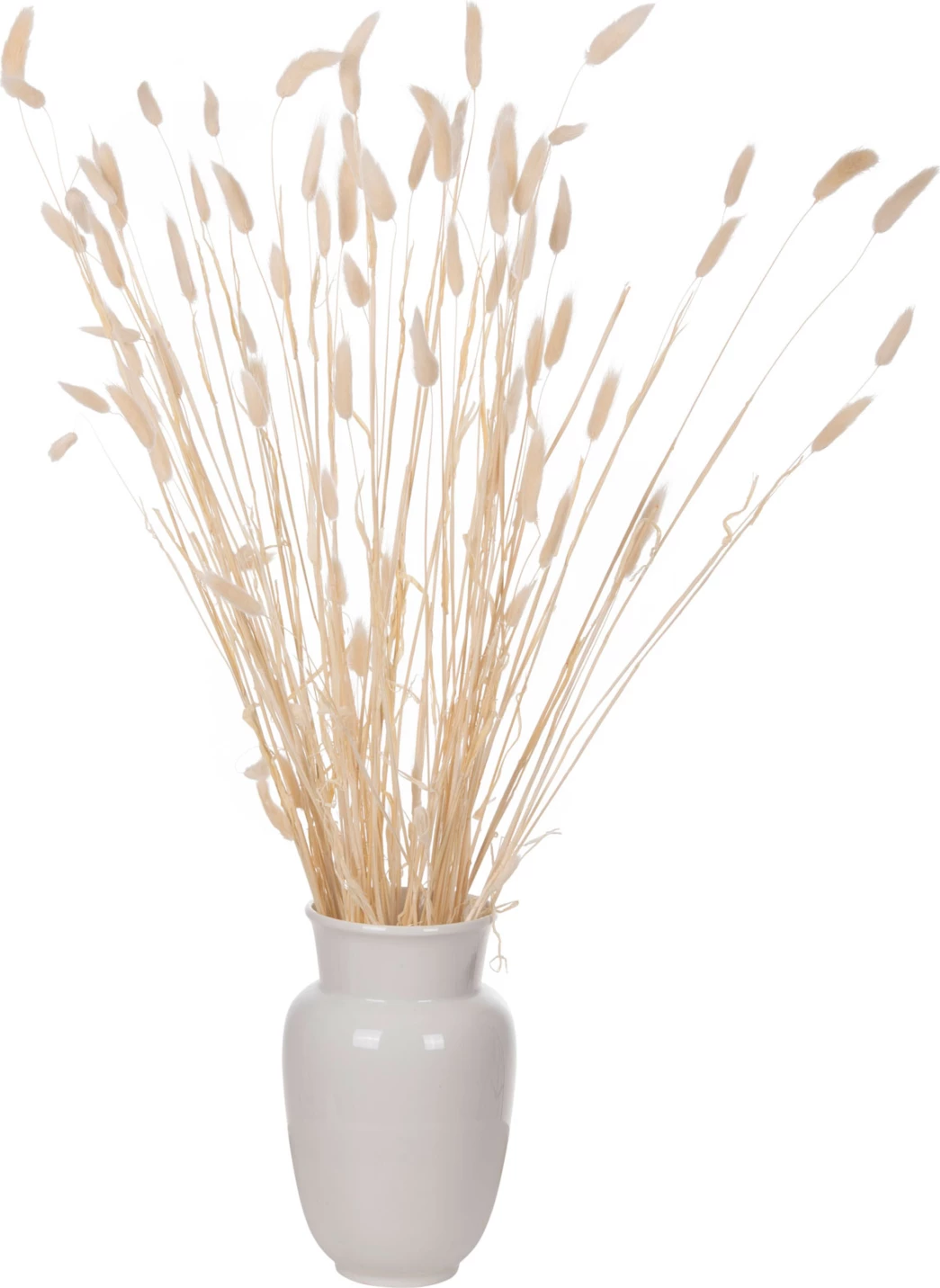 Dekorativni suhi šopek zajčji rep FH7959 krem 76Hcm