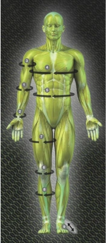 Kompresijske nogavice za moške Select, bele