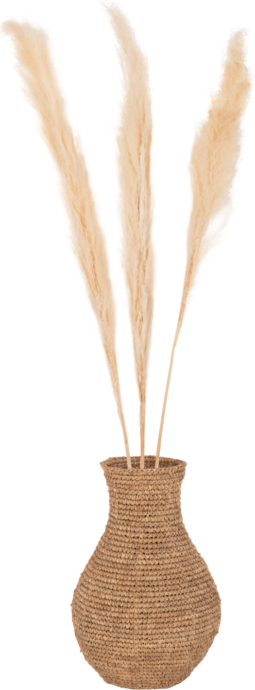 Dekorativni suhi trst 3 kosi FH7961 bel 140H cm