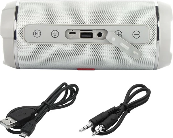 Prenosen zvočnik BLOW BT-460, Bluetooth, 20W, siv