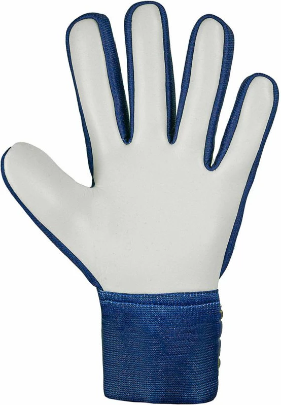 Nogometni rokavice za vratarje Reusch Attrakt Starter Solid, moški, temno moder