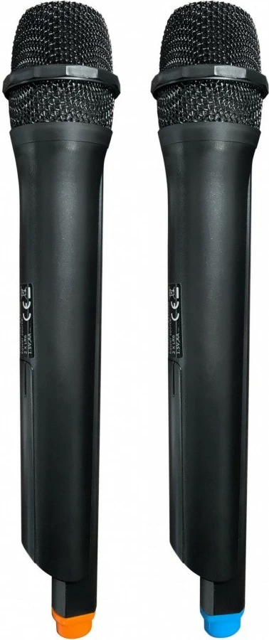 Zvočnik PartyBox z Bluetooth, karaoke, 1000 W, črn, 2 brezžična mikrofona, Blaupunkt PB10DB