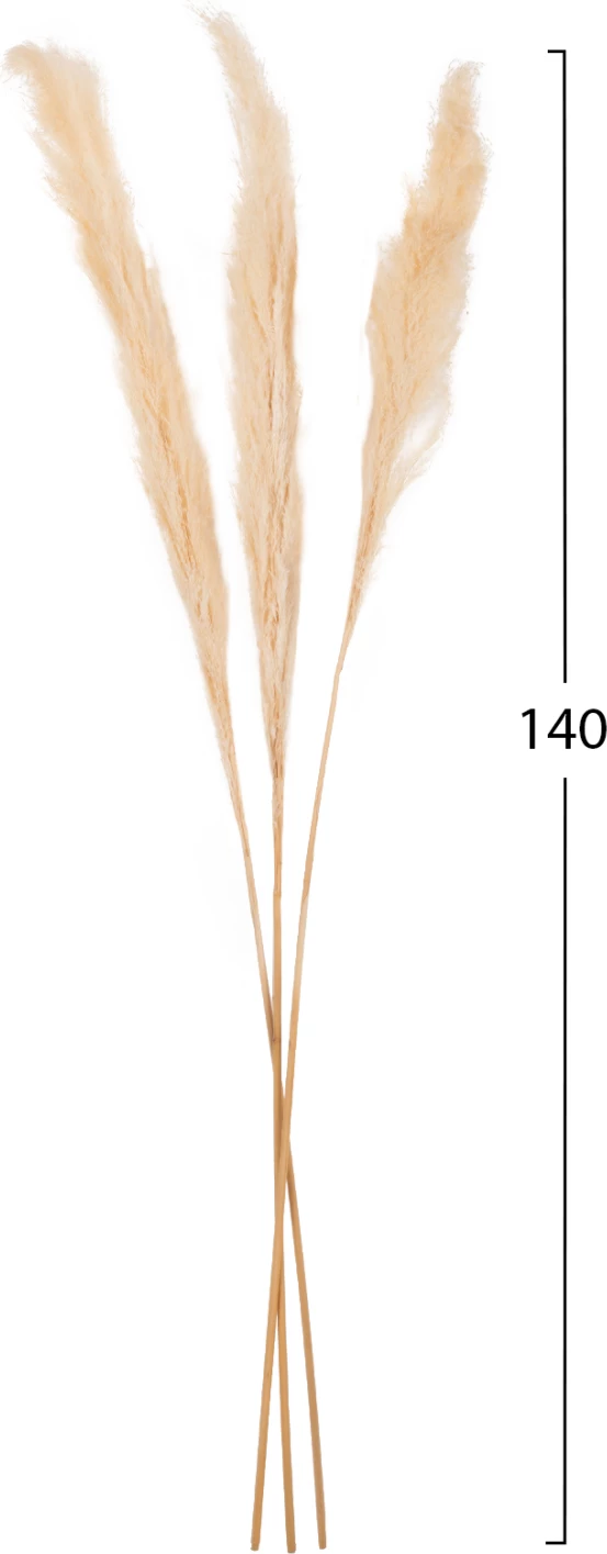 Dekorativni suhi trst 3 kosi FH7961 bel 140H cm