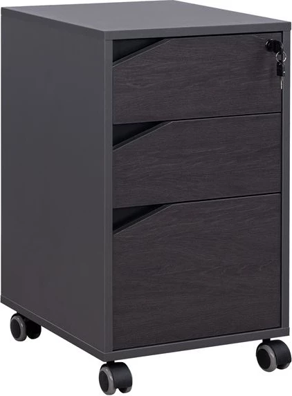 Profesionalni pisarniški predalnik na kolesih Rosewood FH2108 40x40x66cm