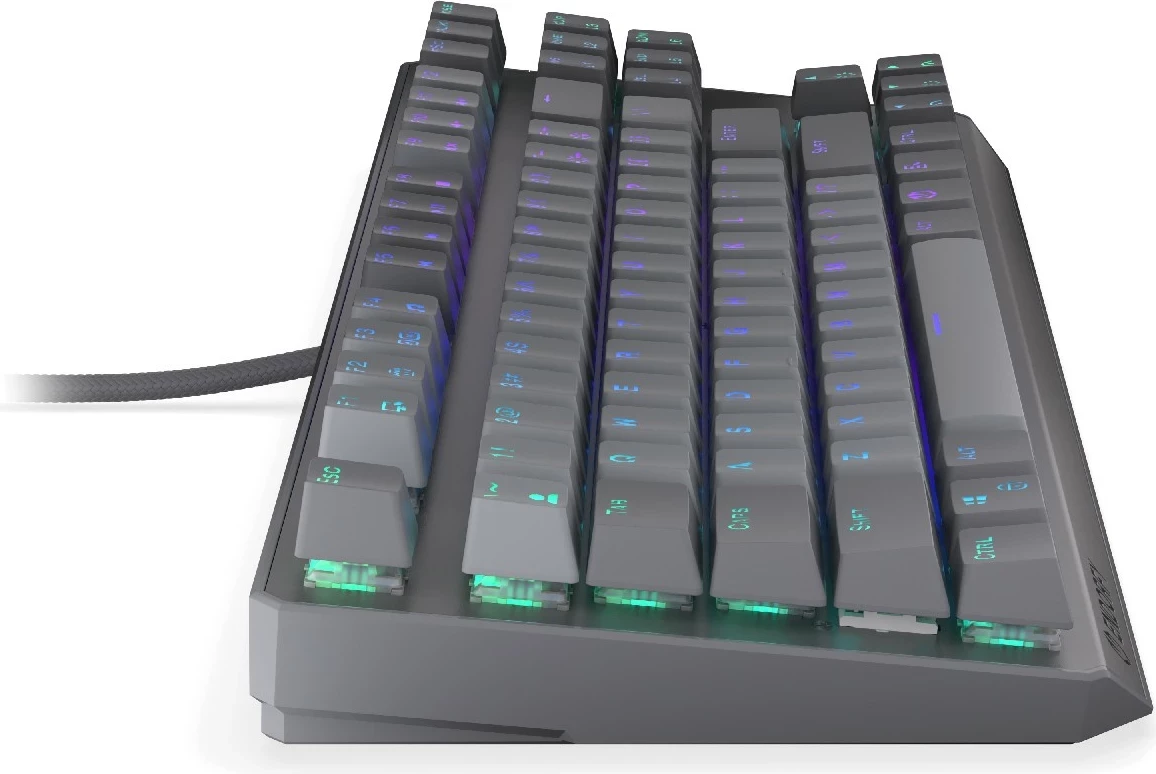 Mehanska tipkovnica 80% (TKL) Thock V2 Endorfy, RGB, Hot-Swap, USB-C, siva