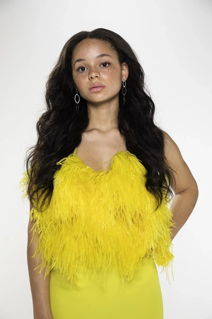 Likalnik za ravnanje las BaBylissPRO ELIPSIS3000, 55 W, črn