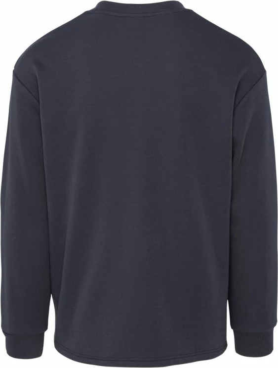 Pulover za moške Iguana, grafit