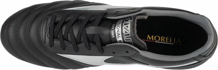 Fudbalske superge za moške, črne, Mizuno Morelia II Pro FG