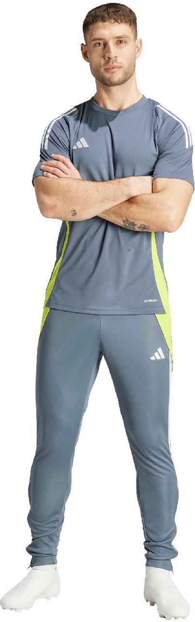 Športne hlače adidas za moške, sive