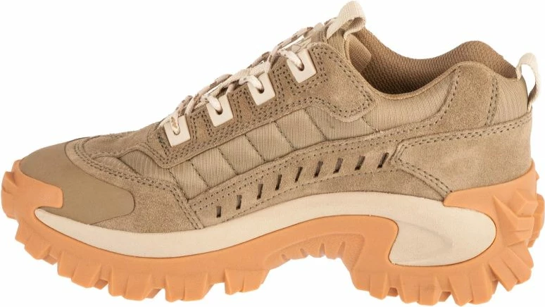 Superge Caterpillar Intruder M P726245, za moške, rjave