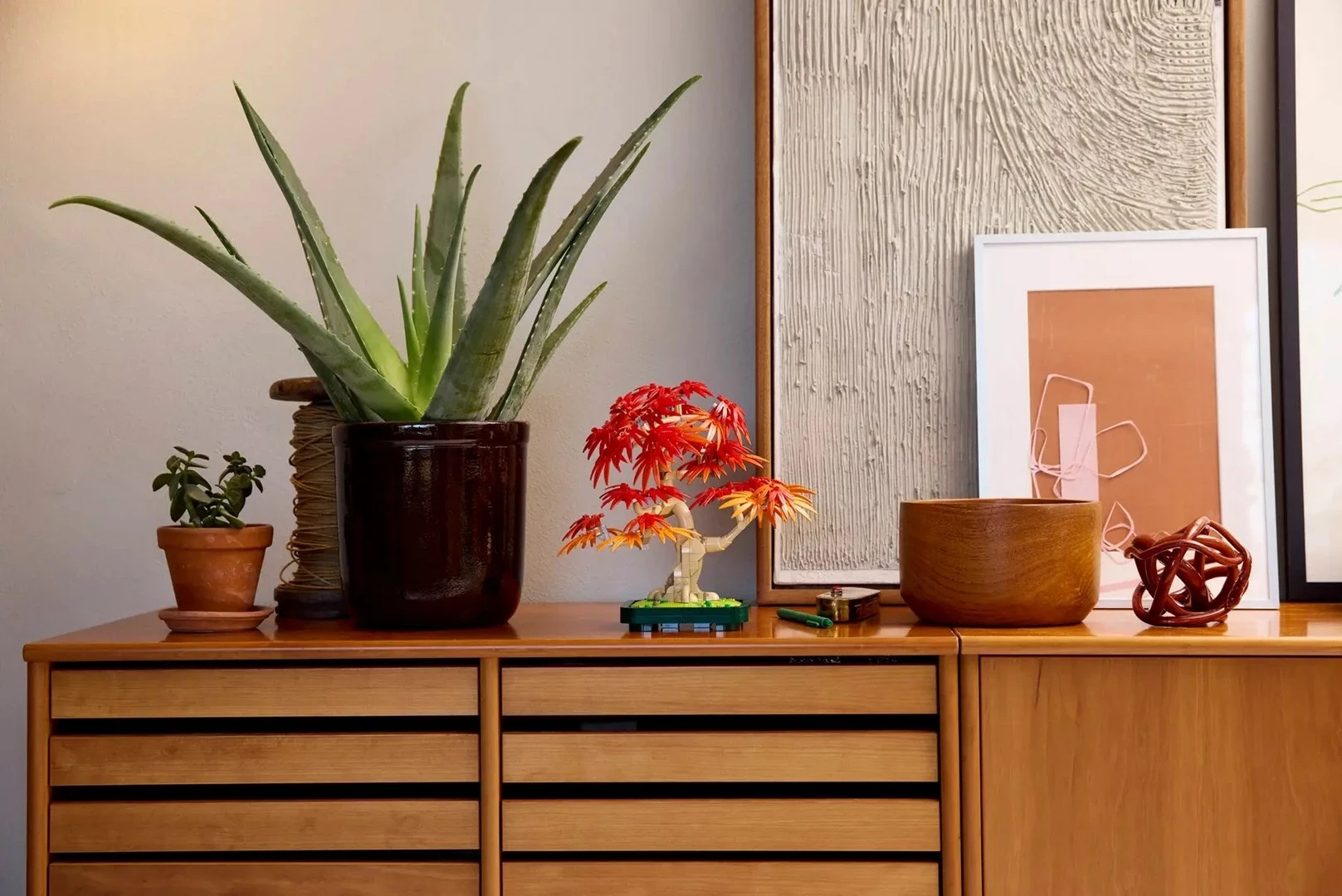 Dekorativni set japonski rdeči javor bonsaj 10348, za odrasle, 220 mm, rdeče/oranžen