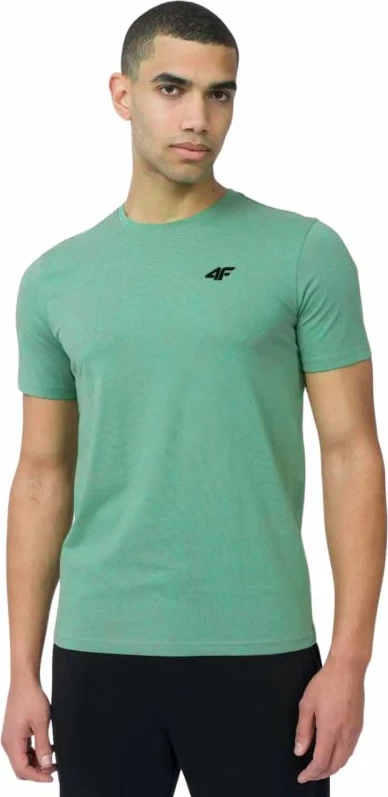 Majica za moške, večbarvna 4F