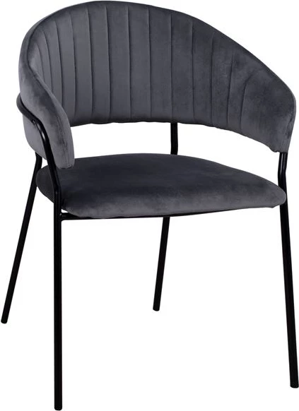 Naslanjač Theodore FH8520.01 iz sivega žameta s kovinskim ogrodjem 55x50x82cm, set 2 kosov