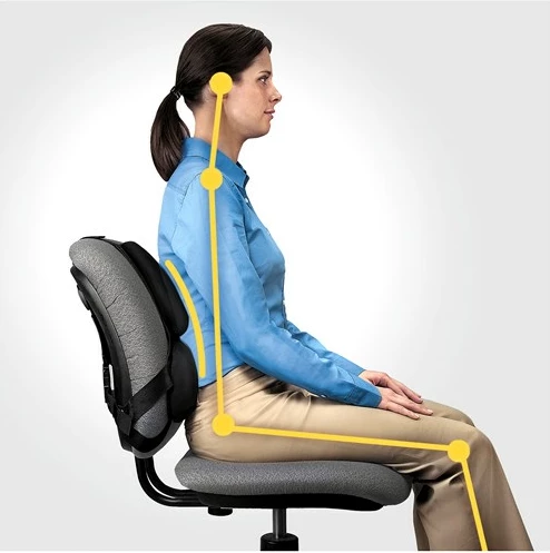 Opora za hrbet Fellowes Ergonomics, profesionalna, črna