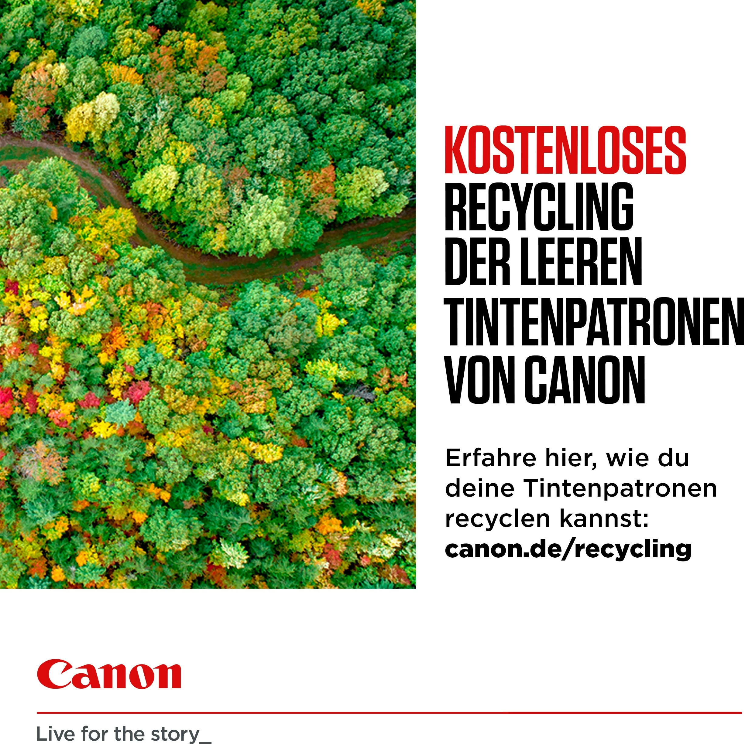 Toner z visoko zmogljivostjo Canon PG-560XL, 14.3 ml, 400 strani, črn