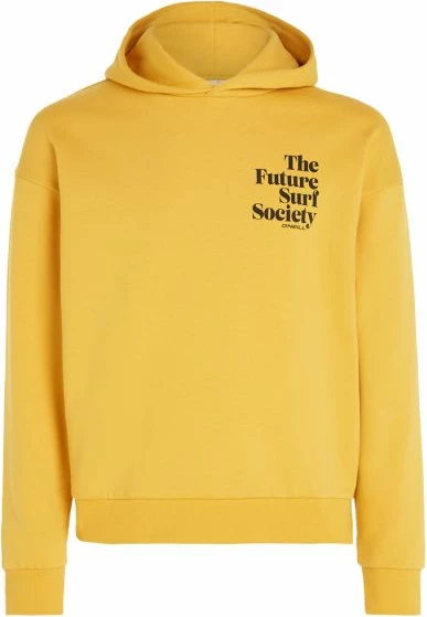 Duks, O'Neill Future Surf Society Hoodie W, rumen