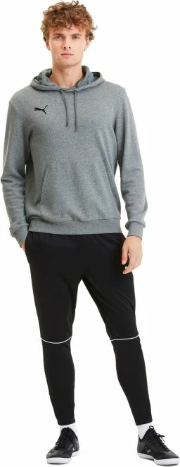 Duks TeamGOAL 23 Casuals, Puma, za moške, siv