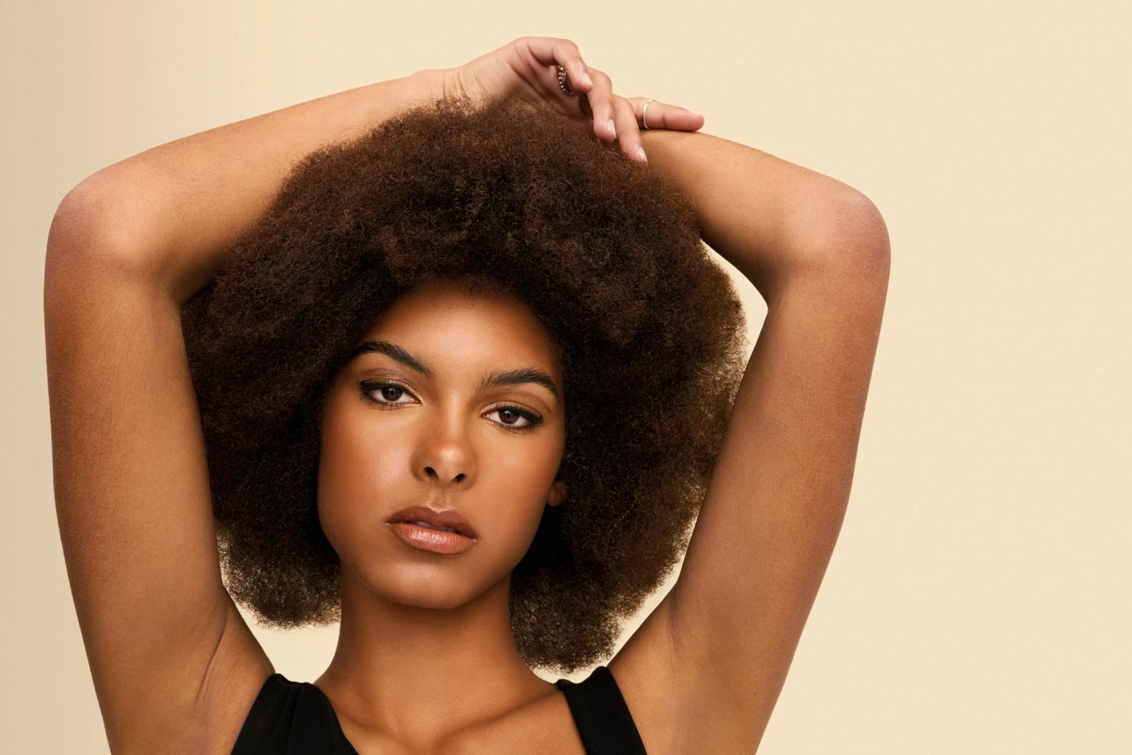 Multistyler Shark HD333EU, bel