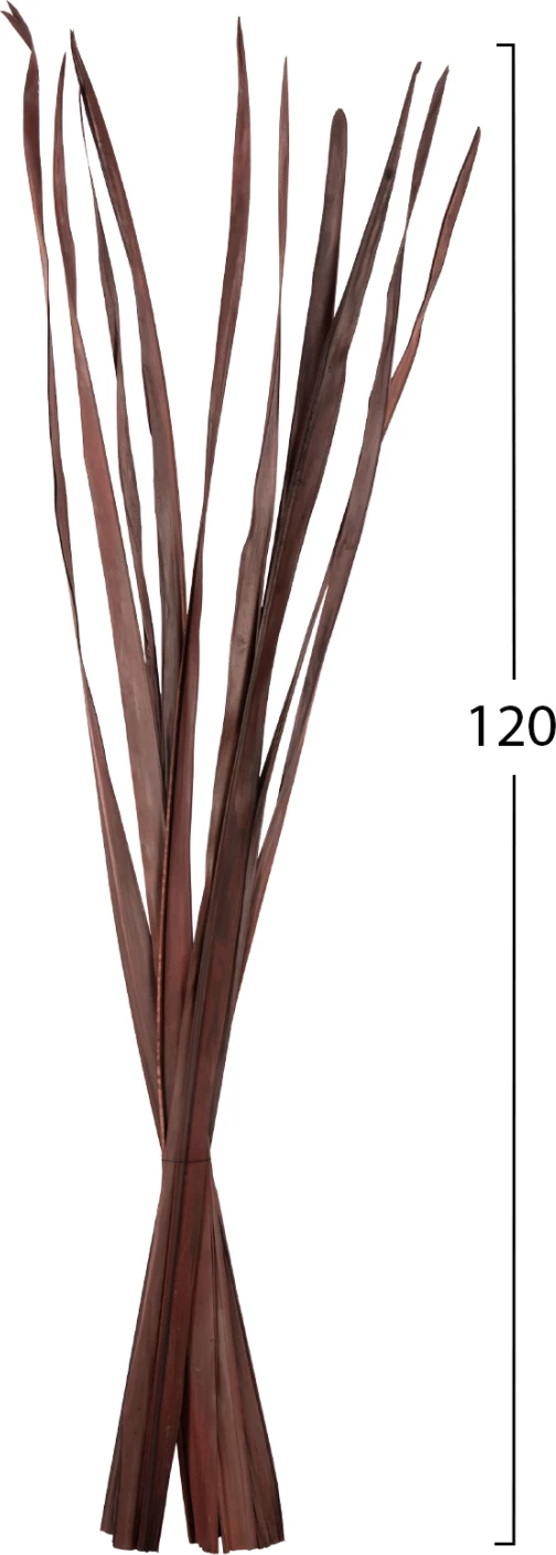 Dekorativni šopek iz posušenih listov meča FH7965 10 kosov rjavi 120H cm