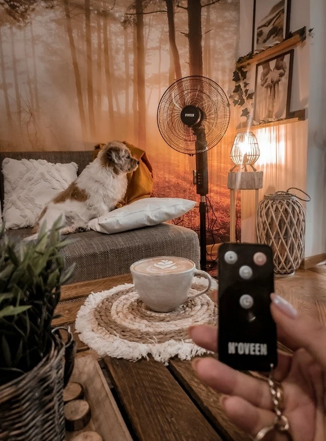 Stoječi ventilator 16"/40 cm, črn, N'OVEEN F455