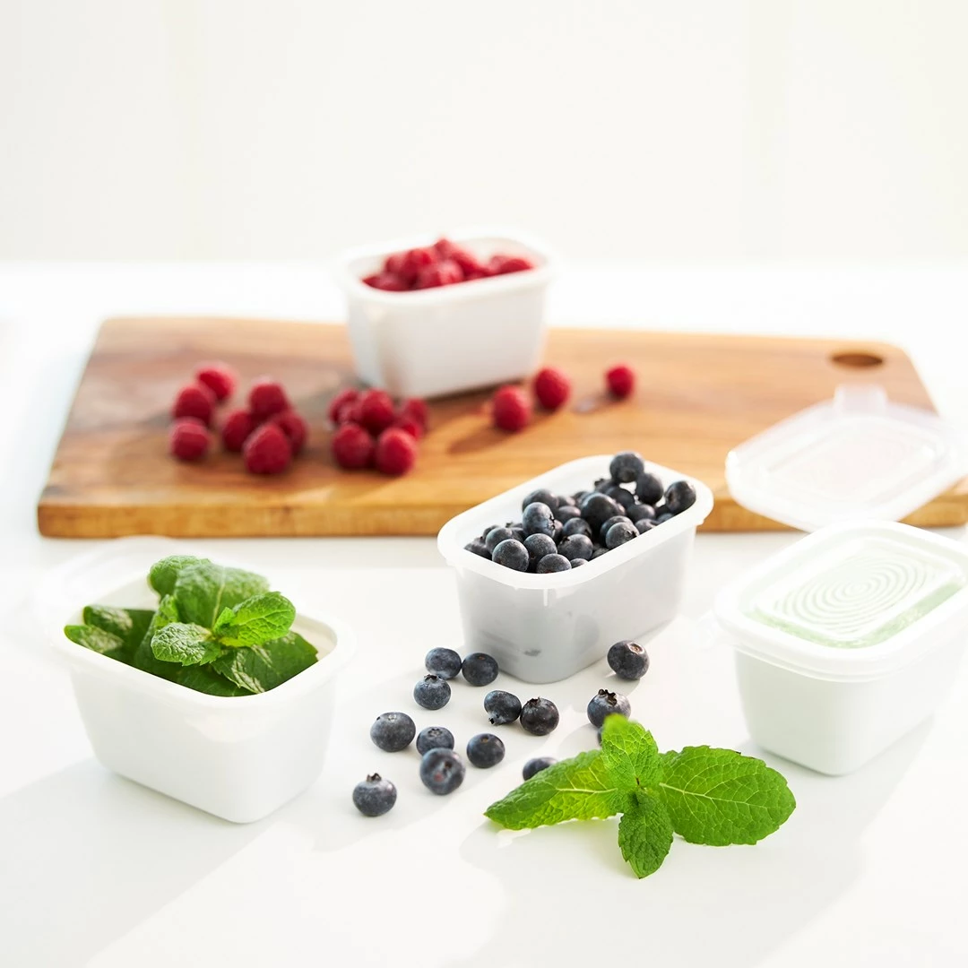 Posode za zamrzovanje, Rotho Freeze, 6x250 ml, prozorne