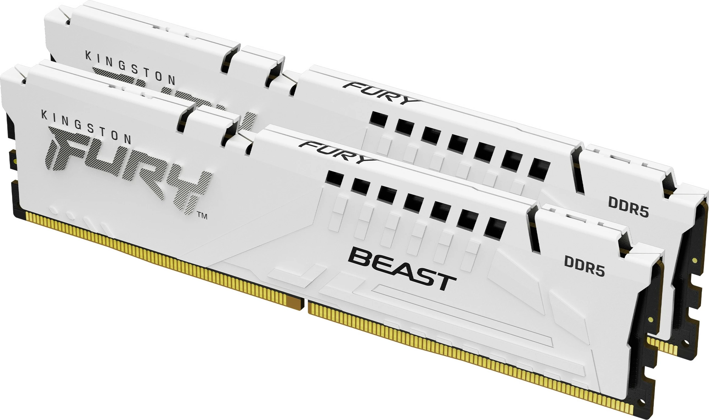 RAM pomnilnik Kingston FURY Beast 64GB (2x32GB) DDR5 6400MT/s CL32, bel