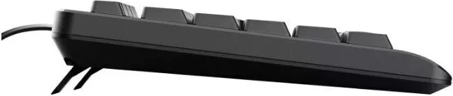 Uveljavljen USB QWERTY (US) Tastatura Trust Basics, črna