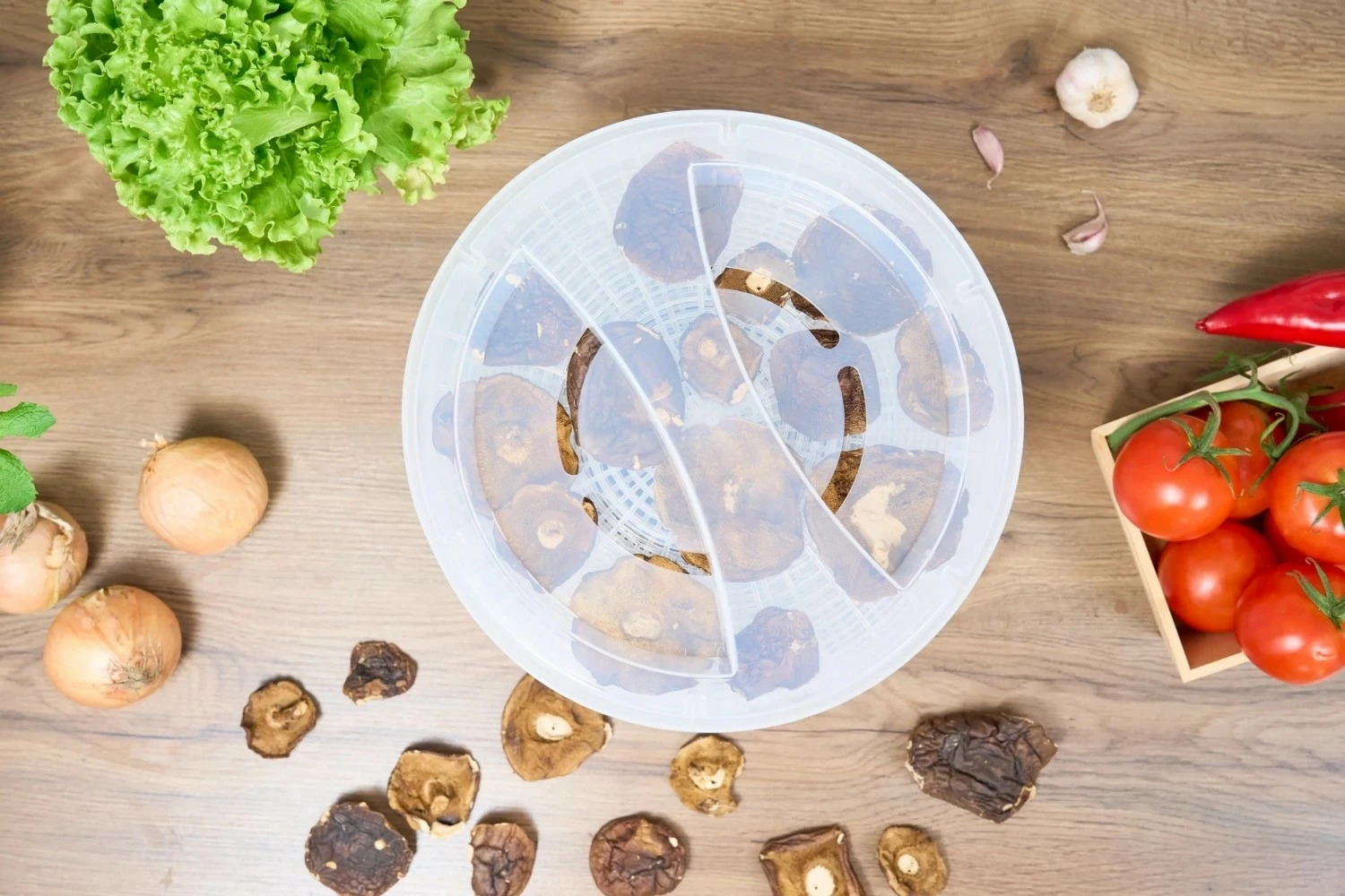 Sušilnik hrane Zelmer ZFD2020, bel