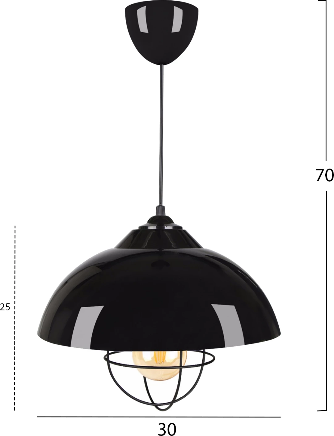 Viseča stropna svetilka FH7621.01 črna kapa, črna mreža za žarnico