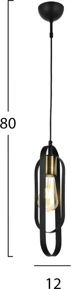 Kovinska črna stropna svetilka FH7537.01 12x80 cm