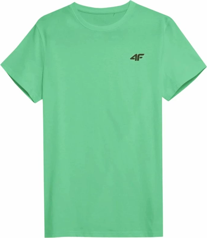 Majica za moške, večbarvna 4F