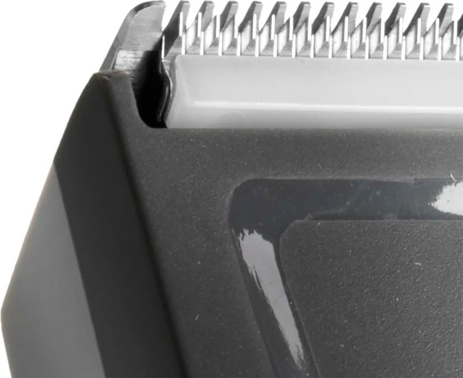 Brivnik za lase BaByliss E786E, črn