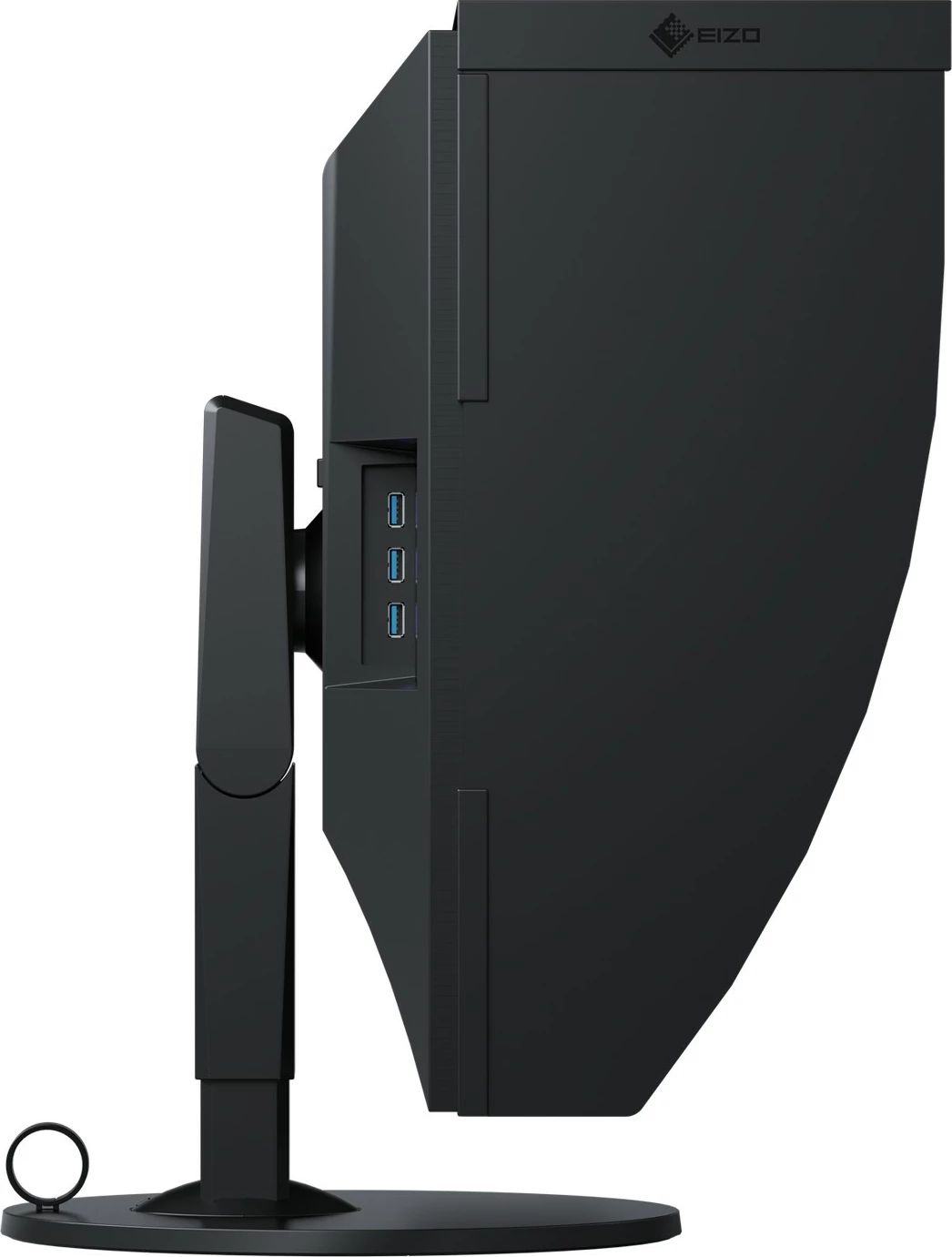 Monitor Eizo ColorEdge CG319X, 31,1-palčni, 4K DCI, IPS, črn