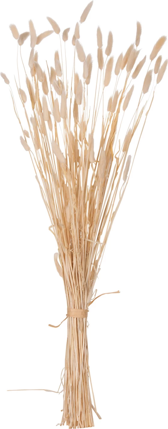 Dekorativni suhi šopek zajčji rep FH7959 krem 76Hcm