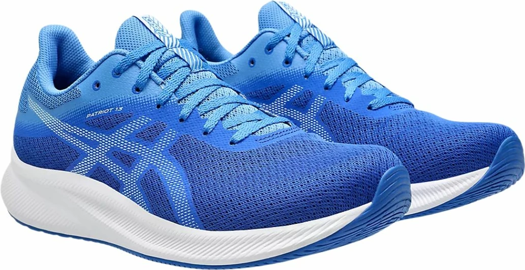 Superge za moške Asics