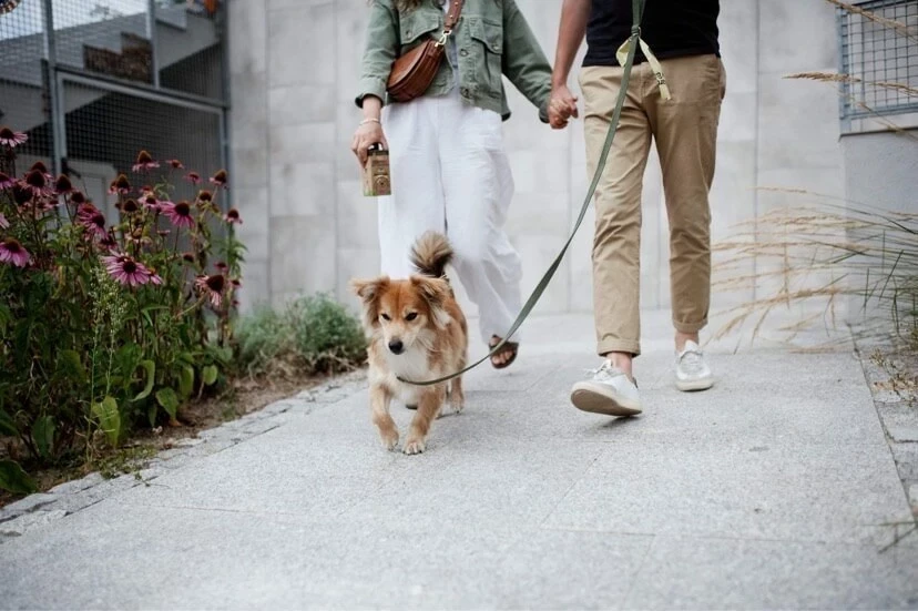 Kompostne vrečke Starch Bag BIO za iztrebke, 8x15 kos, črne