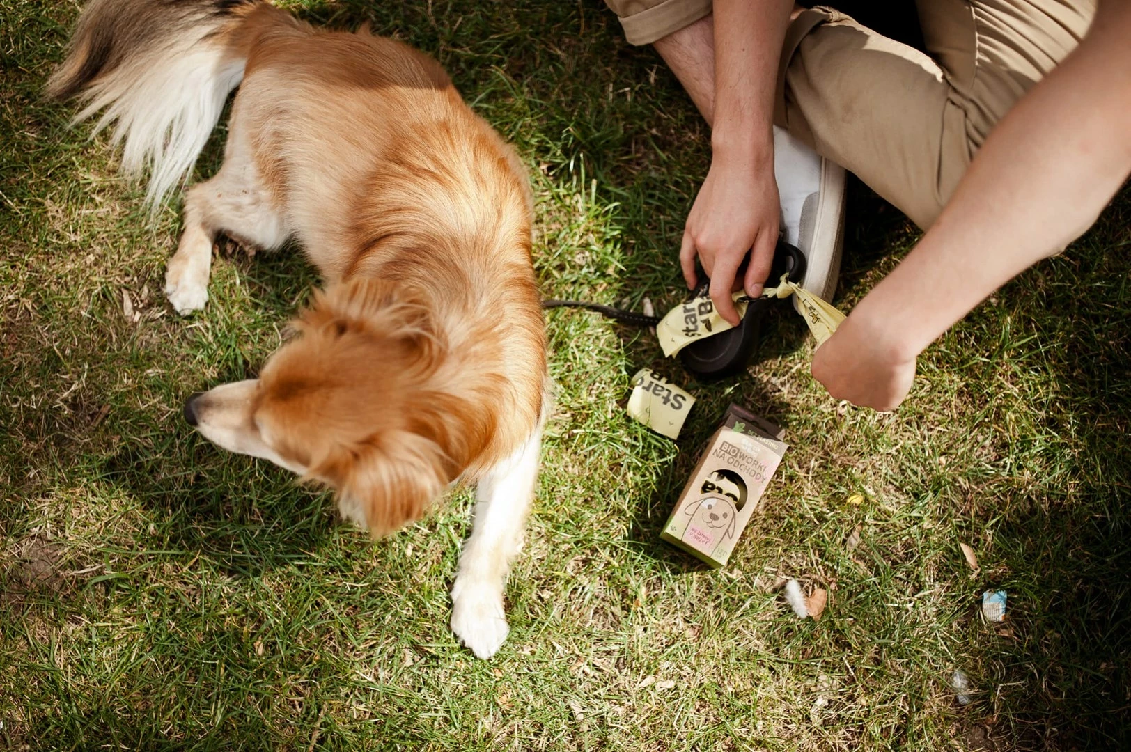 Kompostne vrečke Starch Bag, 8 x 15 kosov, vijolične