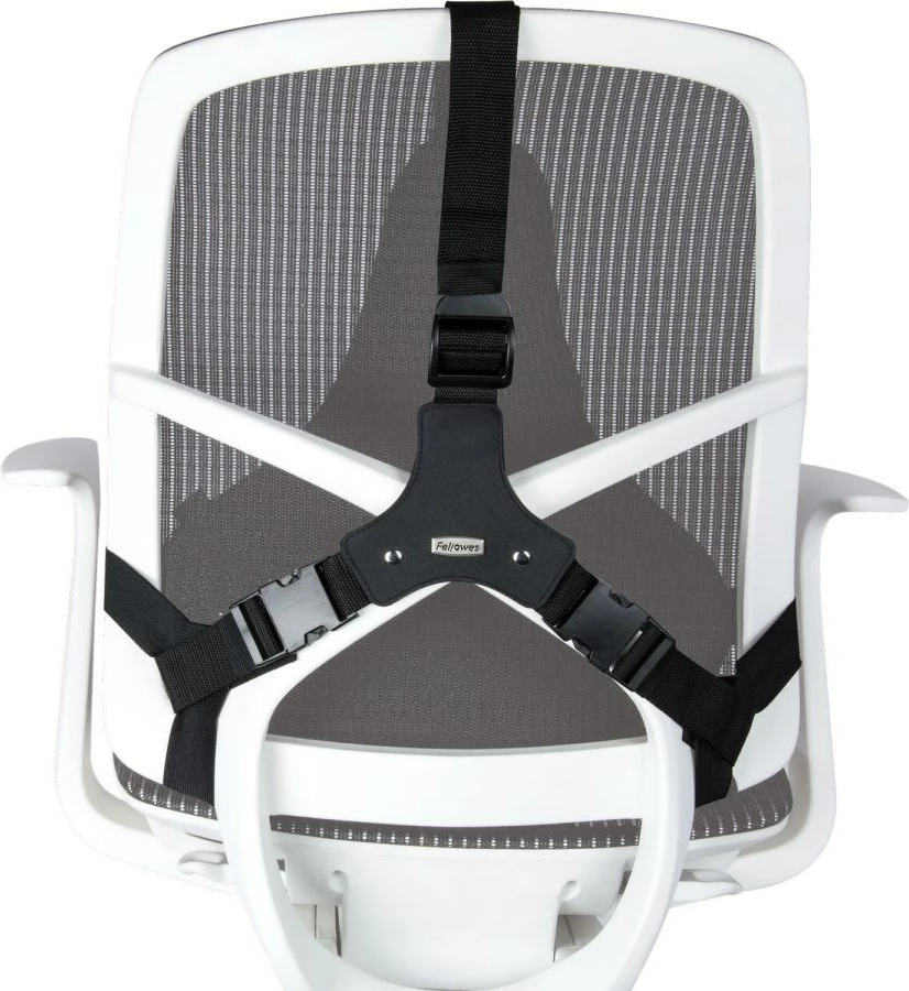 Opora za hrbet Fellowes Ergonomics, profesionalna, črna