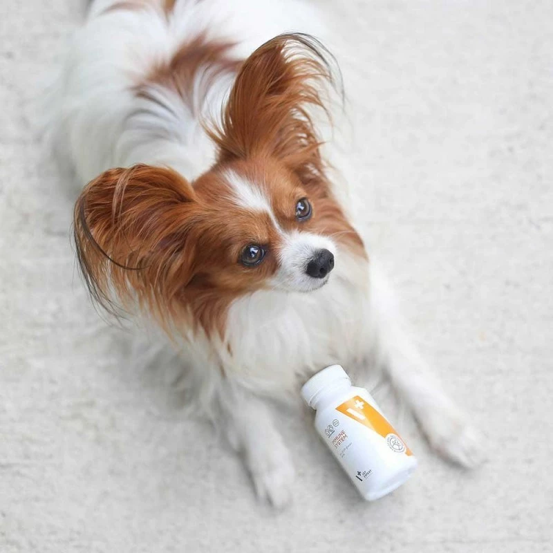 Prehranski dodatek za imunski sistem VetExpert za pse in mačke, 30 kapsul