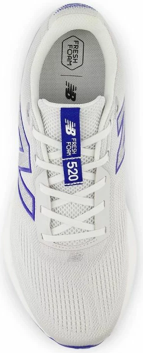 Superge New Balance M520LG9, močne sivke
